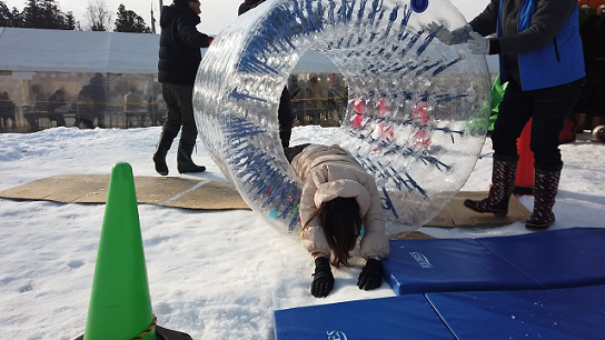 雪灯籠まつりの画像3