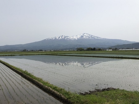 鳥海山