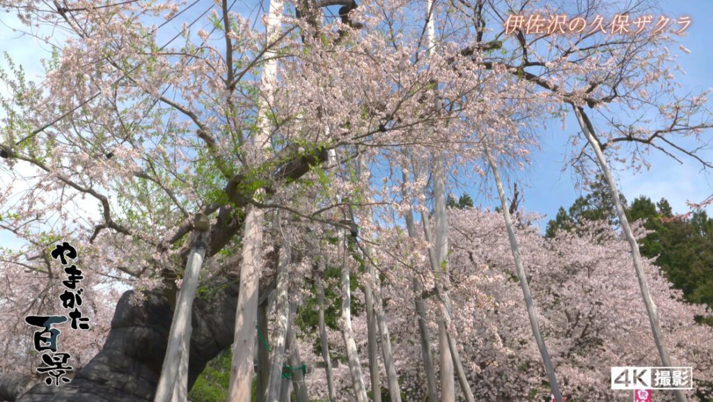 やまがた百景