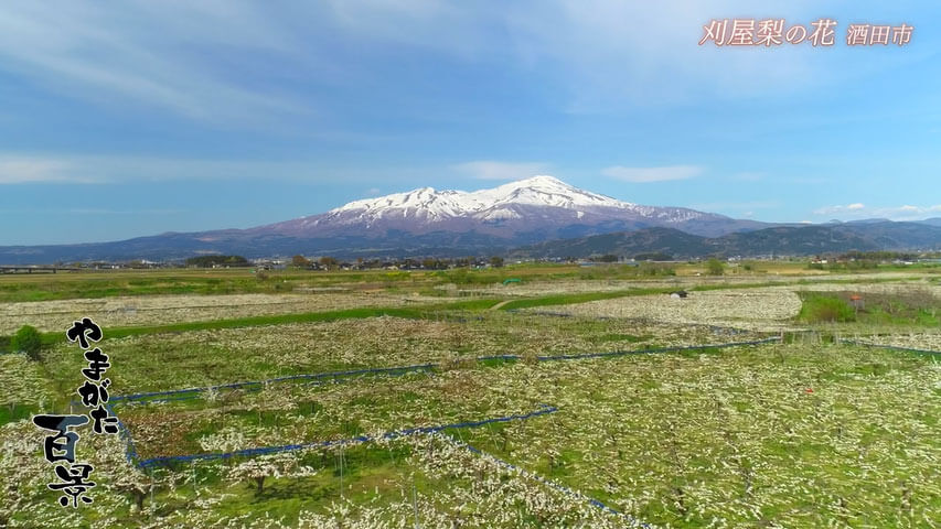 やまがた百景