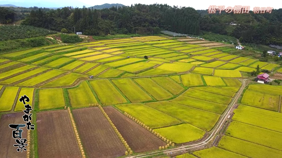 やまがた百景椹平の棚田 朝日町