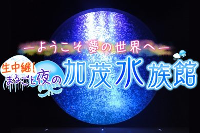 ようこそ夢の世界へ生中継！まるごと夜の加茂水族館