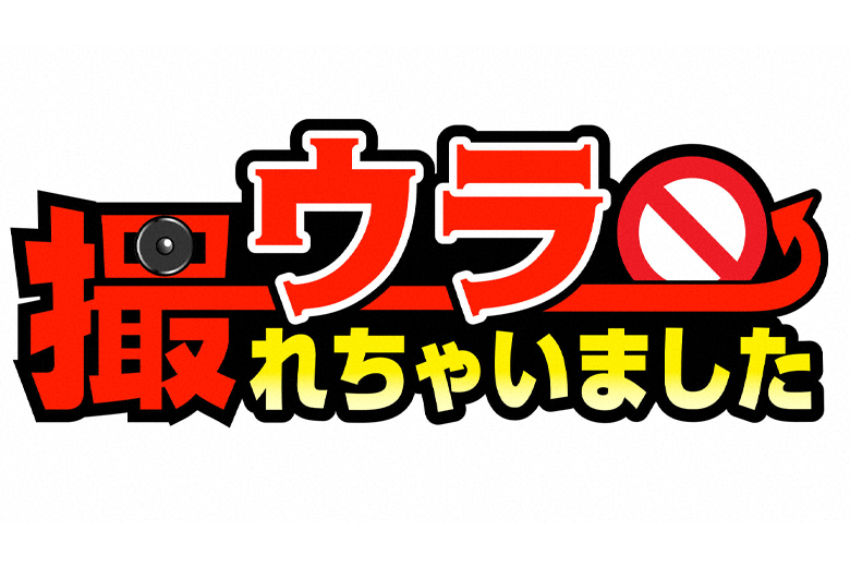 番組 Yts山形テレビ 番組 Yts山形テレビ