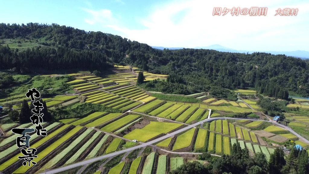 四ケ村の棚田　大蔵村