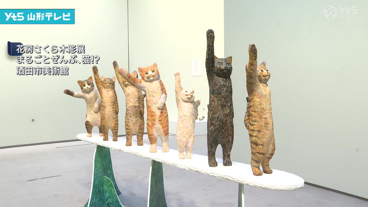 ★サーシャ作「木の枝から落ちそうな猫」★肉筆画真作★ネコ 注目の作家が手掛けるネコをモチーフにした展覧会 | YTS山形テレビ