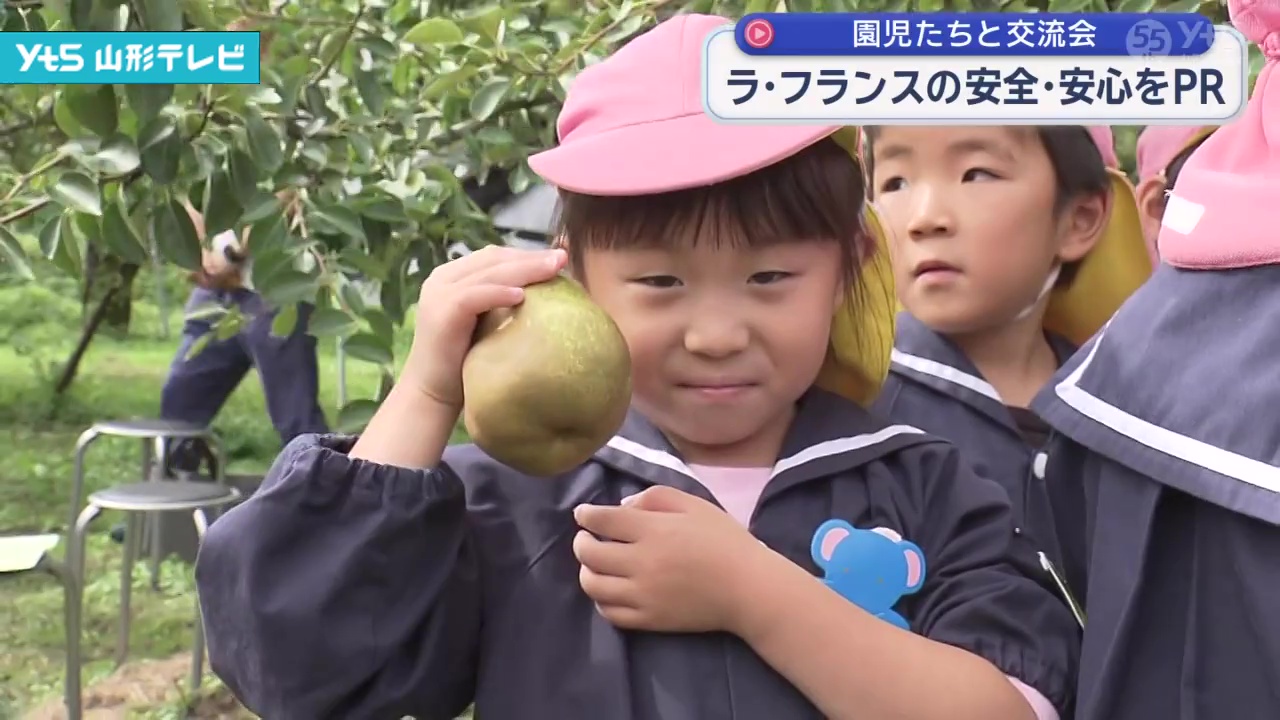 ラ・フランスの安全・安心をPR | YTS山形テレビ