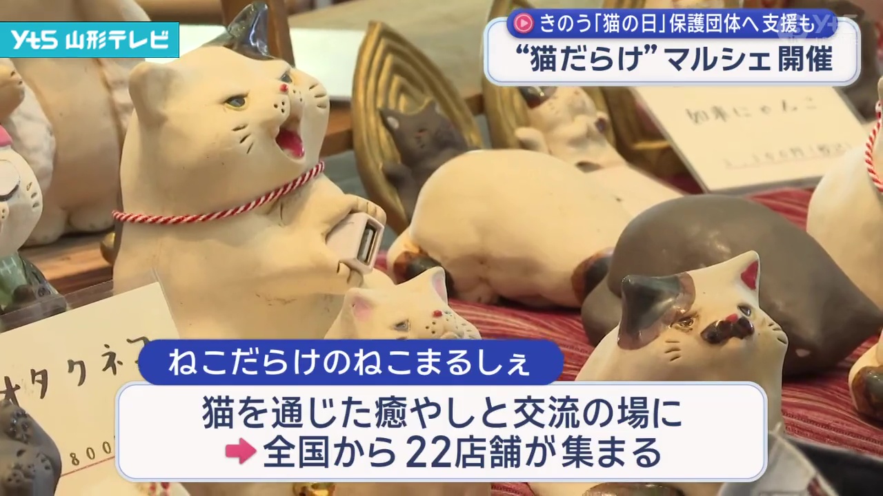 猫だらけ！ ねこまるしぇ開催 保護団体への支援も | YTS山形テレビ