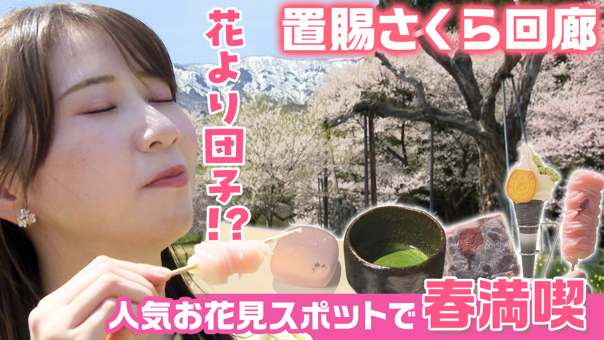 花より団子！？人気お花見スポットで春満喫 置賜さくら回廊