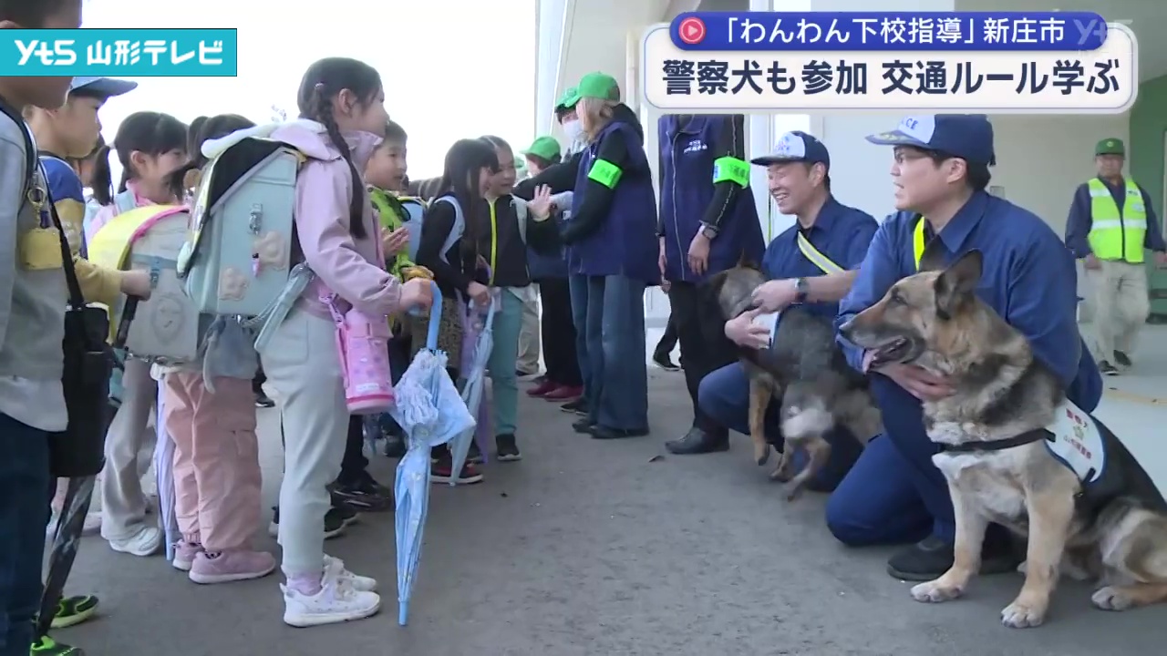 警察犬も参加 新1年生が交通ルール学ぶ 「わんわん下校指導」 | YTS