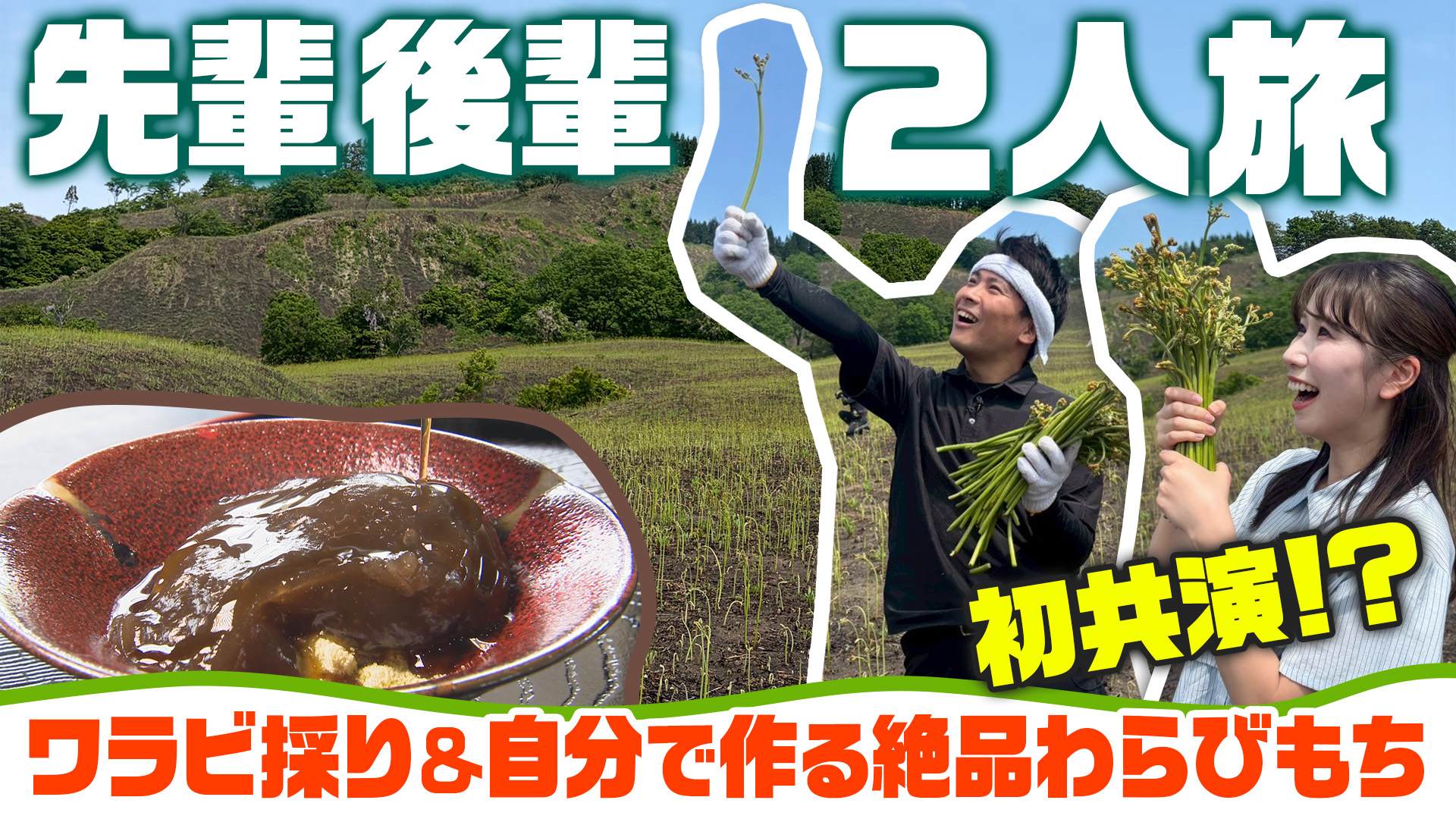 小国町「新股観光わらび園」で山の恵みを満喫