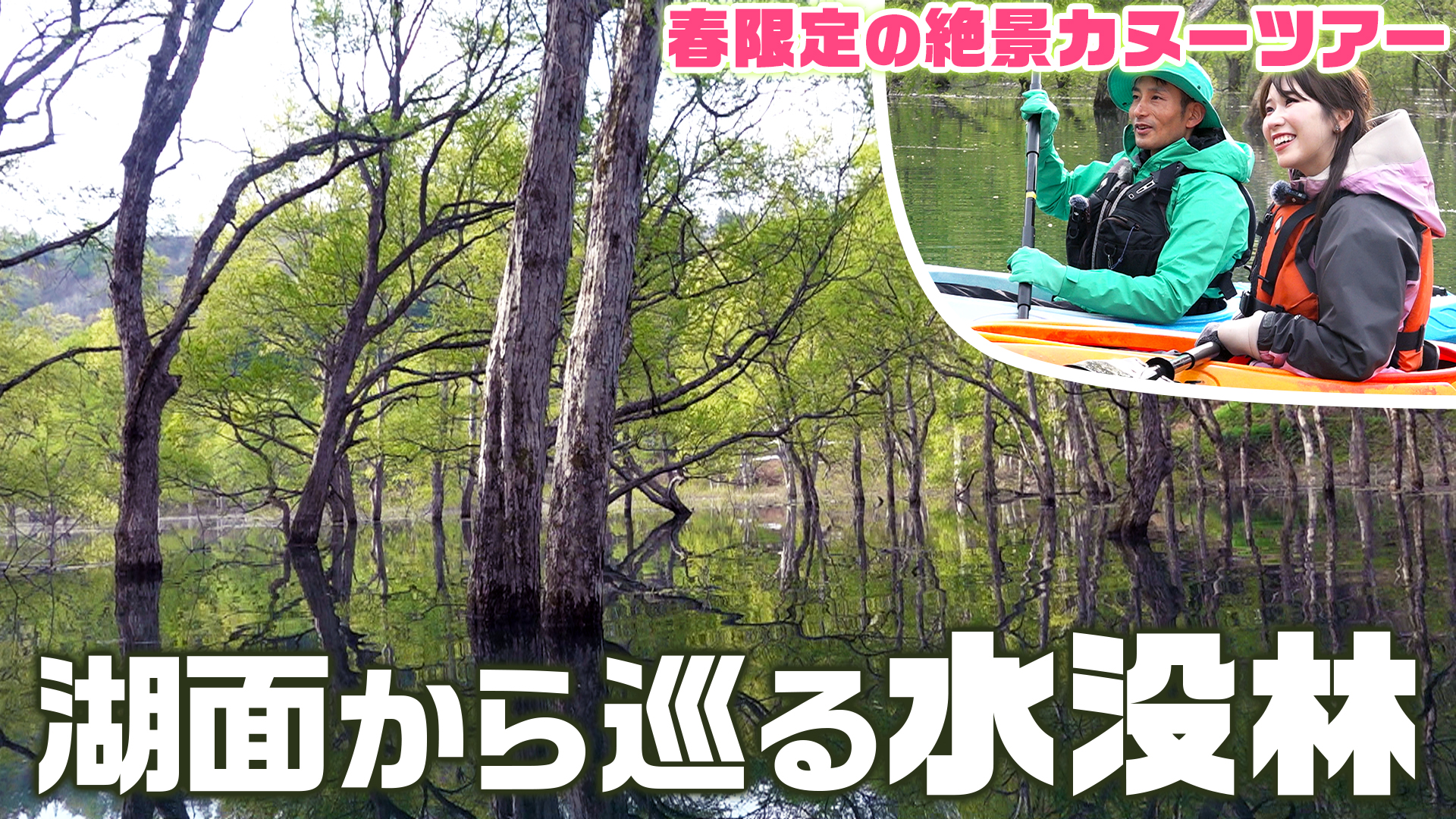 春限定の絶景カヌーツアー 湖面から巡る飯豊町 白川湖の水没林