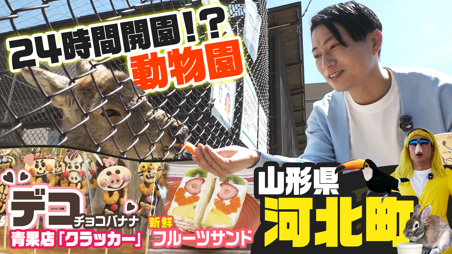 【河北町の旅】24時間開園している動物園＆新鮮フルーツを使った絶品スイーツを堪能