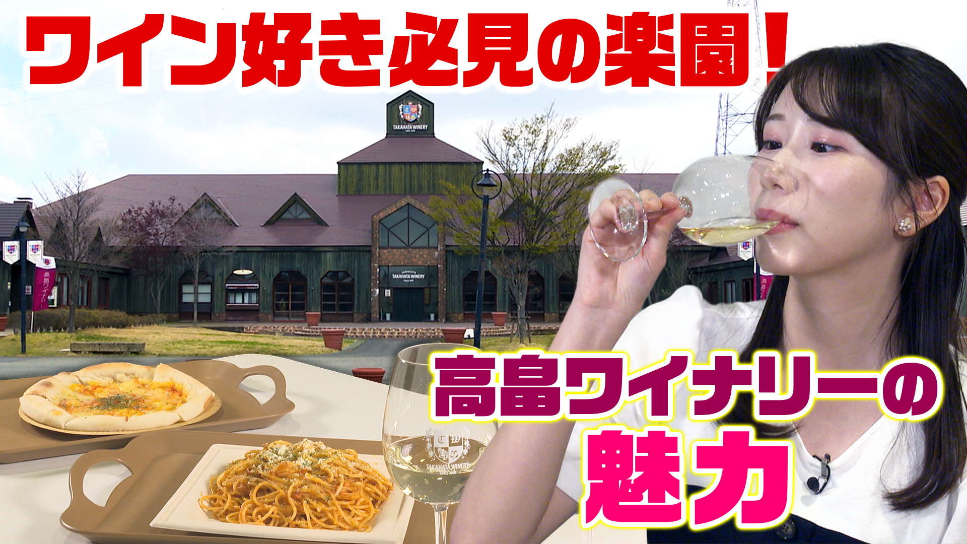 ワイン好き必見の楽園！高畠ワイナリーの魅力