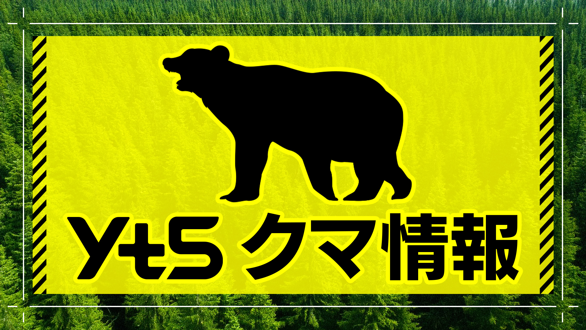 山採り　クマシデ 朝日町で山菜採りをしていた男性がクマに襲われけが | YTS山形テレビ
