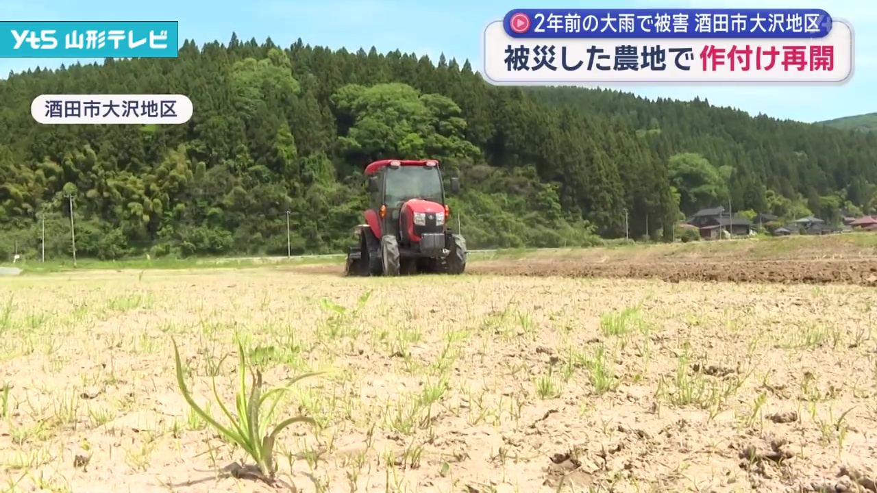 記録的大雨で被災した農地で作付け再開 復旧に向けた大きな一歩 | YTS