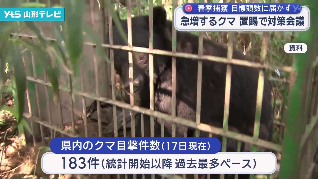 急増するクマ出没 置賜地域の担当者が対策会議 春季捕獲は目標頭数に