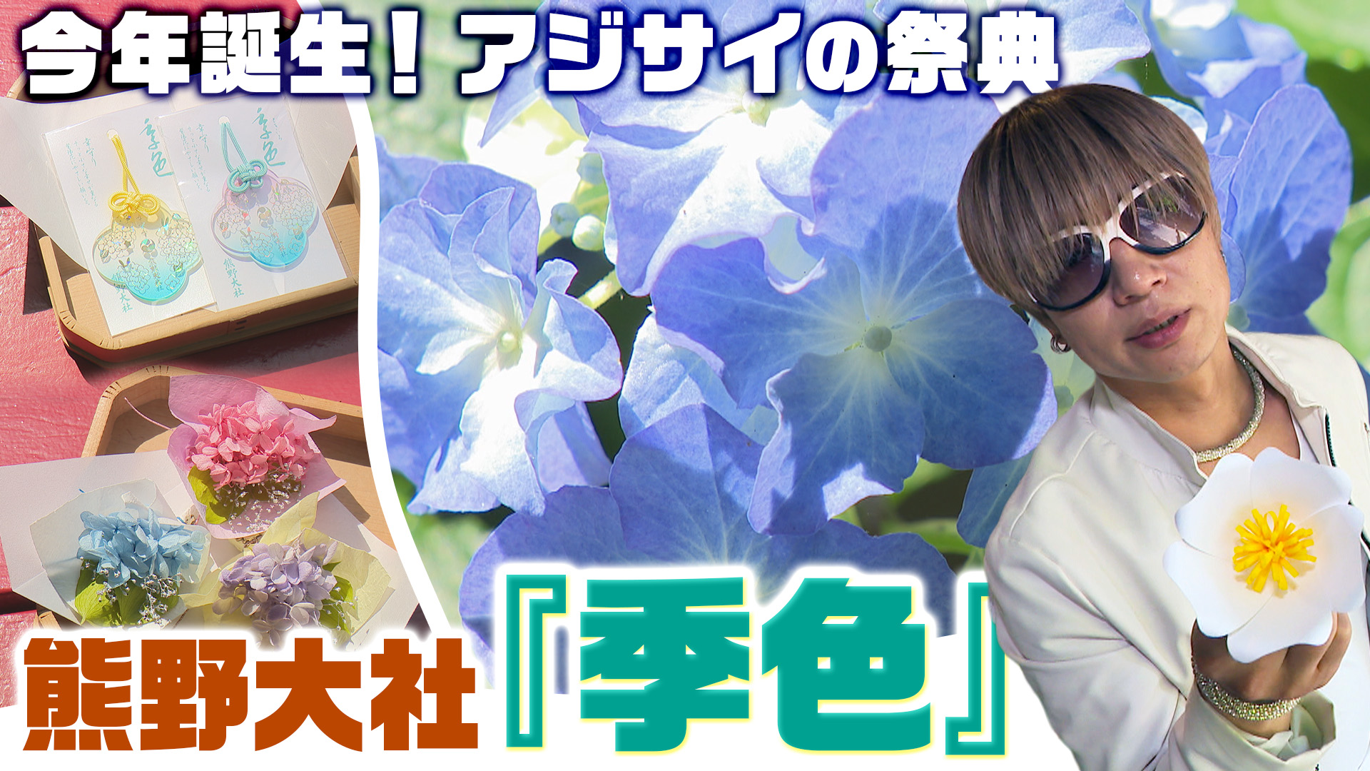 南陽市・熊野大社で出会う初夏の彩り　アジサイと風鈴が彩る「季色-ときいろ-」