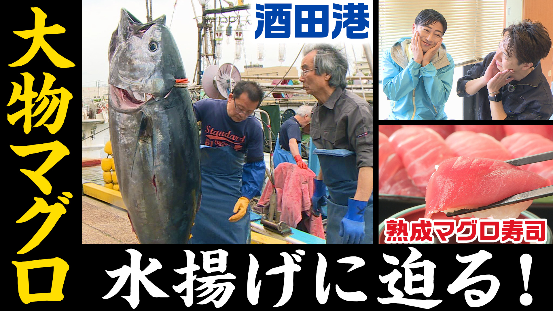 酒田港で出会う庄内の天然クロマグロ　水揚げの迫力と、港で味わう一貫の贅沢