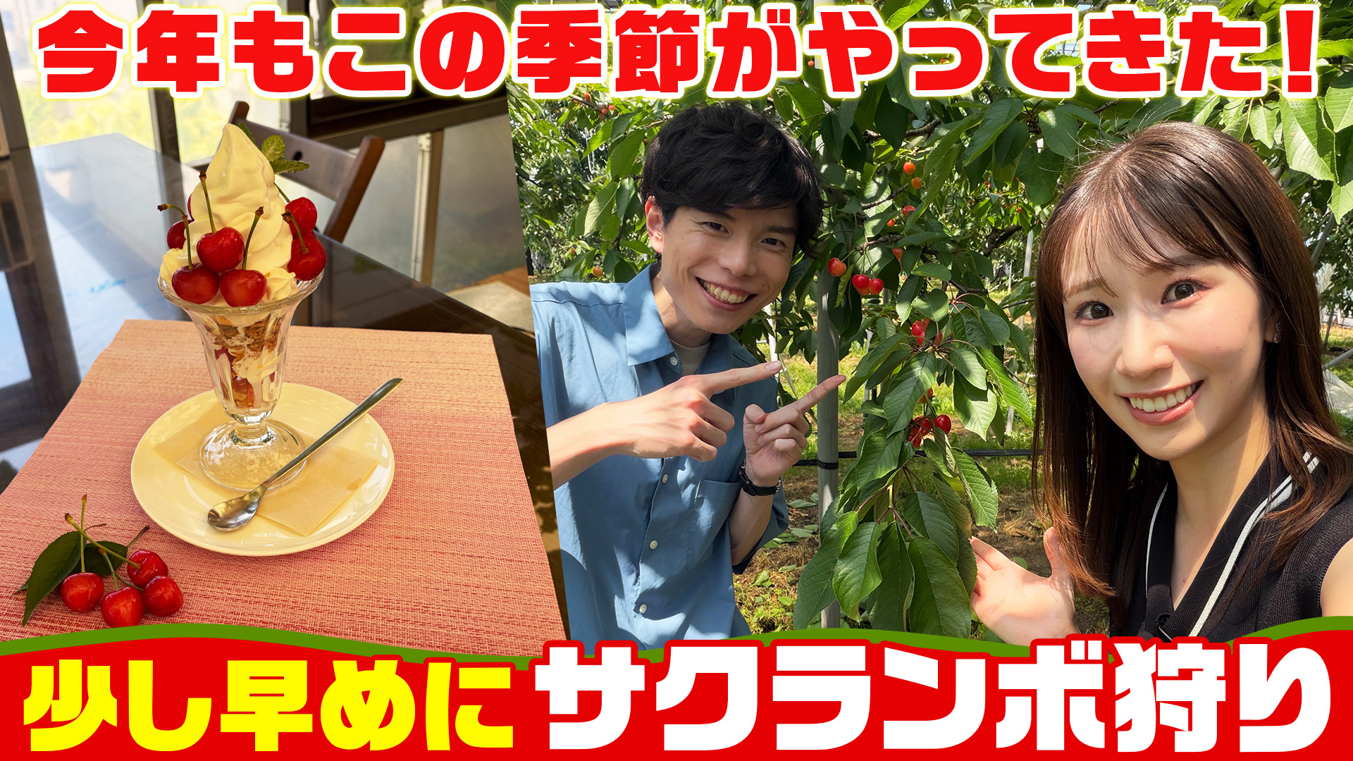 髙橋フルーツランドで楽しむ温室さくらんぼ狩りとごほうびパフェ