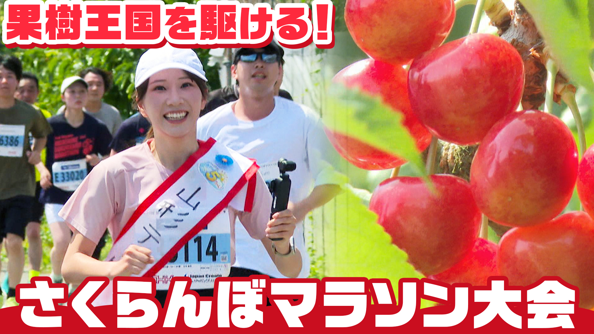 東根の初夏を走る特別な21キロ 第23回「果樹王国ひがしね さくらんぼ