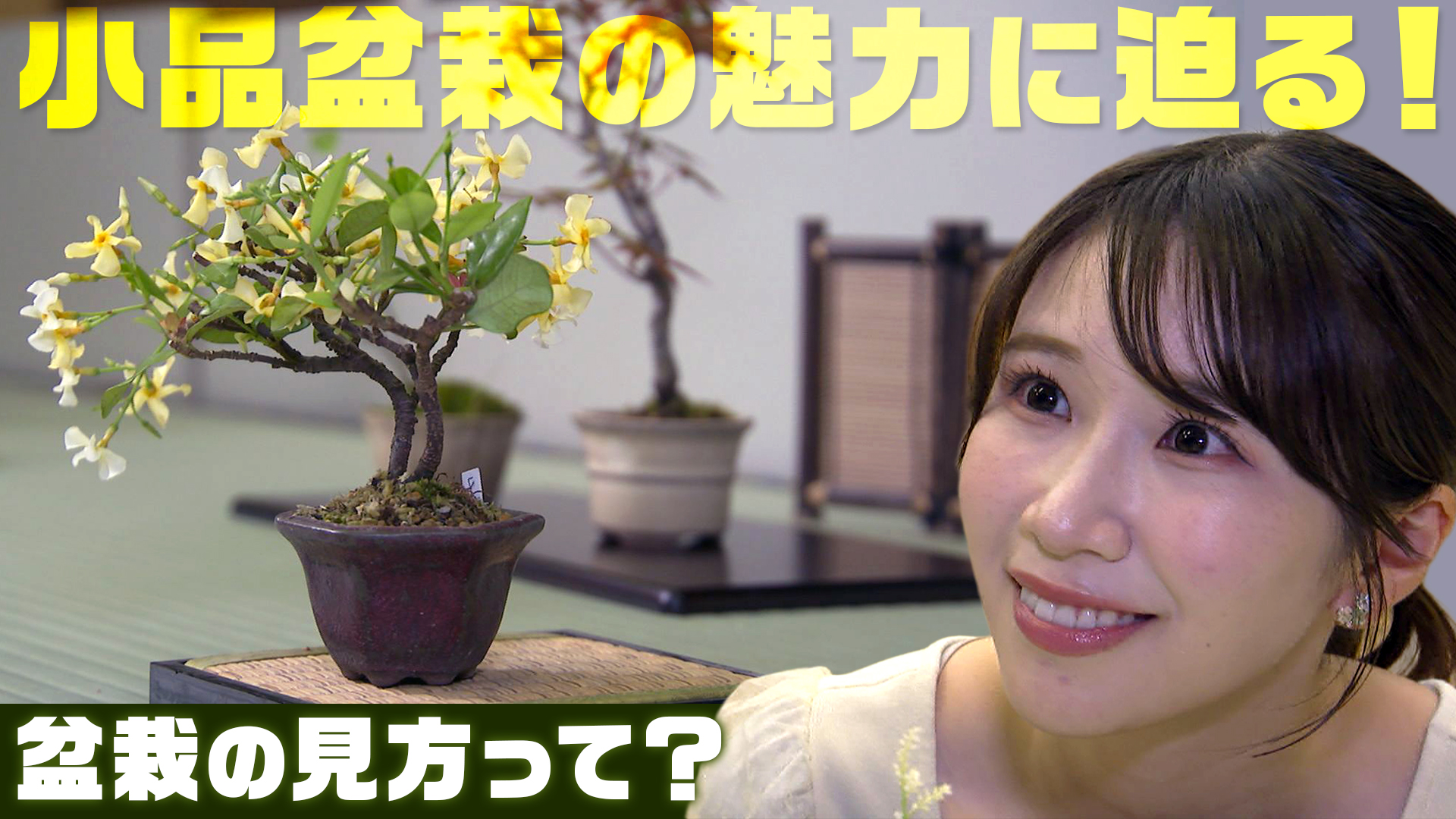 手のひらサイズに広がる景色　小品盆栽展で出会う、一鉢ごとのこだわり