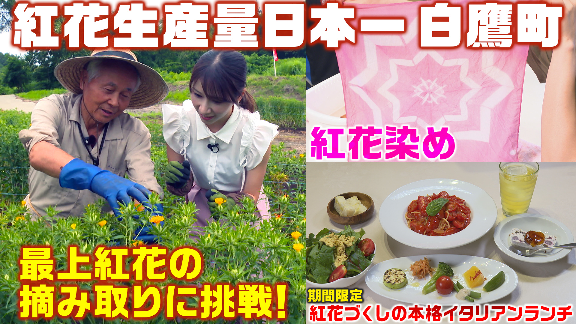 黄色い花に宿る“紅”の魅力　白鷹町でめぐる紅花畑と旬の味わい